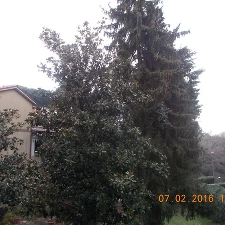 I Cedri Apartment San Cesareo